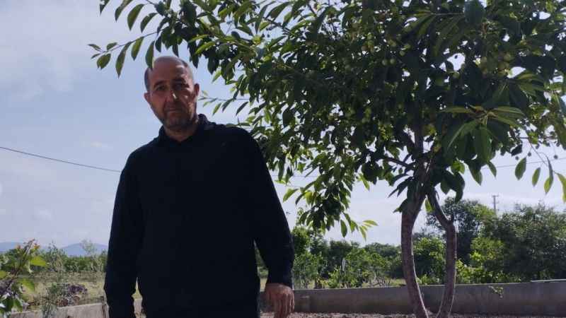 Kiraz üreticisini dolu vurdu, zarar büyük Kiraz üreticisini dolu vurdu, zarar büyük