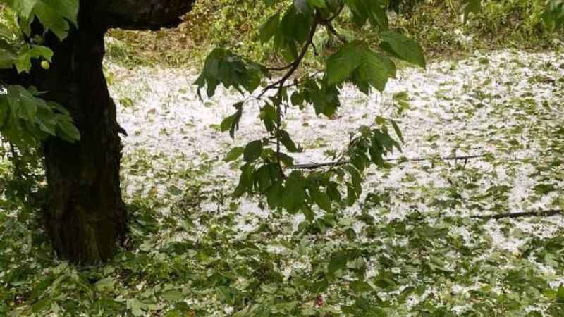 Kiraz üreticisini dolu vurdu, zarar büyük Kiraz üreticisini dolu vurdu, zarar büyük