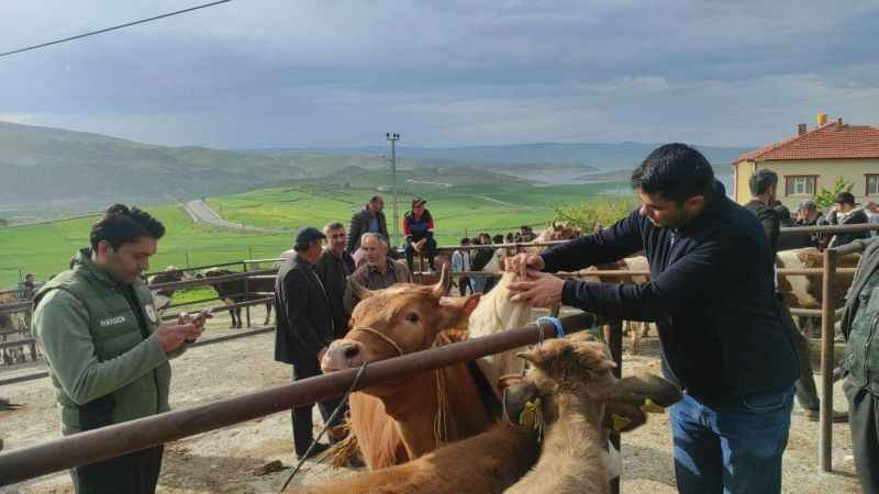 Sivas'tan sonra Yozgat’ta da hayvan pazarları kapatıldı