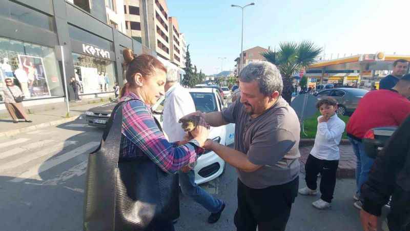 Kedi motora sıkıştı vatandaş seferber oldu Kedi motora sıkıştı vatandaş seferber oldu