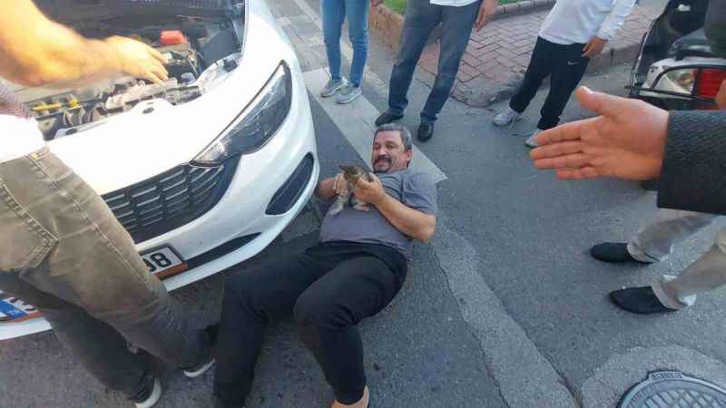 Kedi motora sıkıştı vatandaş seferber oldu Kedi motora sıkıştı vatandaş seferber oldu
