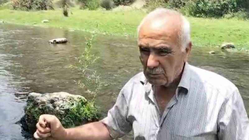 Osmaniye’deki Sabun Çayı’nda balık ölümleri Osmaniye’deki Sabun Çayı’nda balık ölümleri