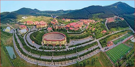 Maltepe Üniversitesi  Öğretim Üyesi Alacak