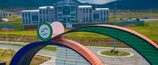 Iğdır Üniversitesi 3 öğretim görevlisi alacak