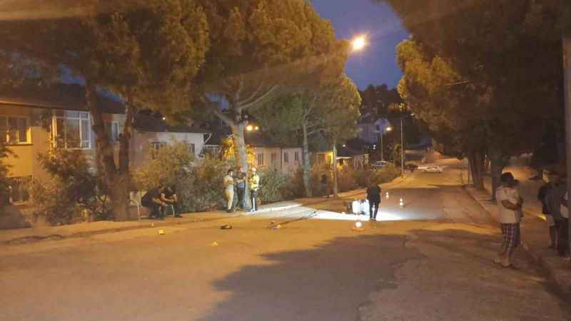 Manisa'da Ahmet Dayı köpeklerden kaçarken hayatını kaybetti