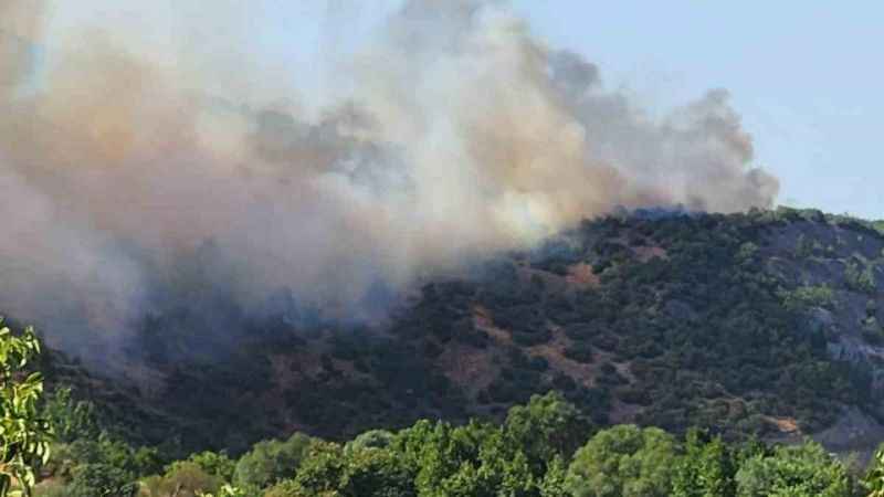 Balıkesir Valisi Ustaoğlu: "Orman yangını kontrol altına alındı"