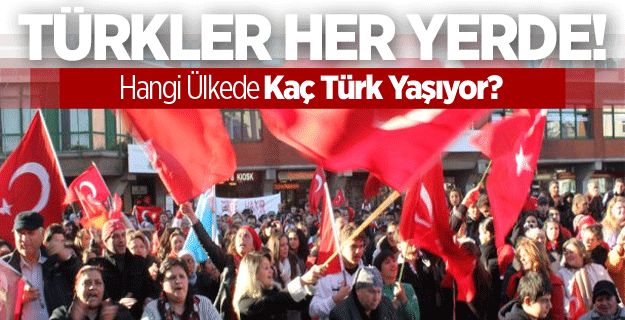Hangi ülkede kaç Türk yaşıyor