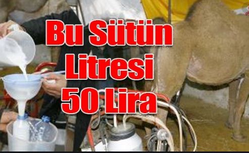 Kanser hastaları büyük ilgi gösteriyor