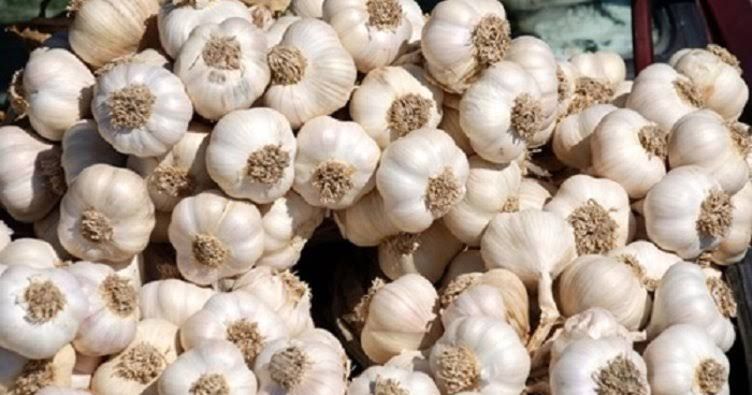 En sağlıklı besinler açıklandı! Bu besinleri mutlaka tüketin…