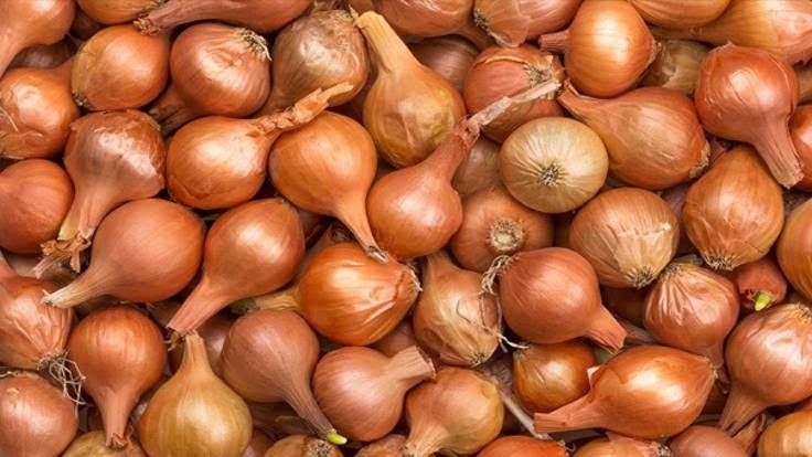 En sağlıklı besinler açıklandı! Bu besinleri mutlaka tüketin…