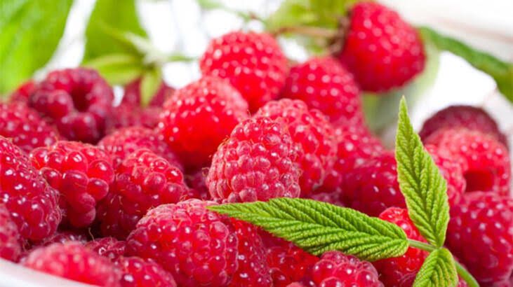 En sağlıklı besinler açıklandı! Bu besinleri mutlaka tüketin…