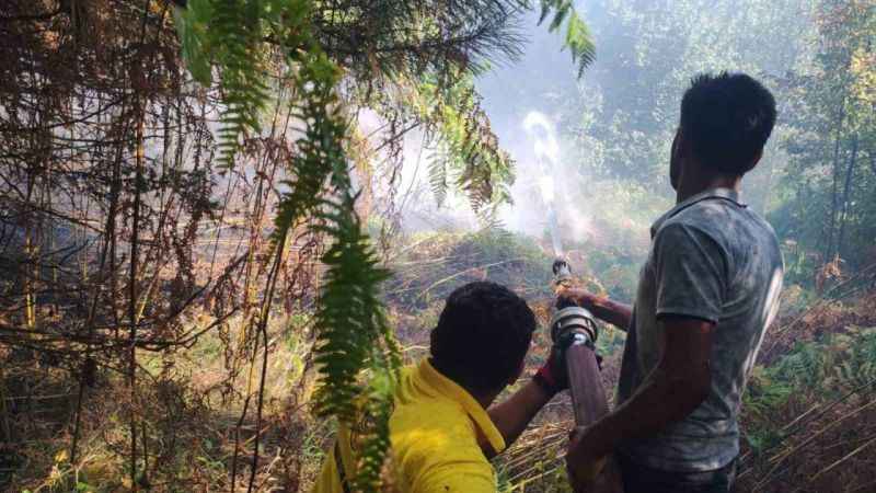 Kastamonu’daki orman yangını büyümeden söndürüldü