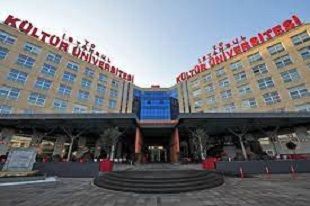 İstanbul Kültür Üniversitesi 5 Öğretim Üyesi alacak