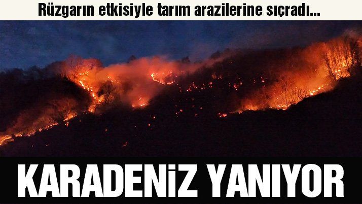 Son dakika… Karadeniz’de dört şehirde orman yangını