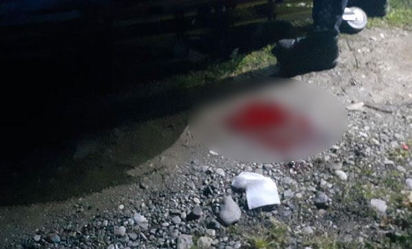 Yengesini ormana götürüp