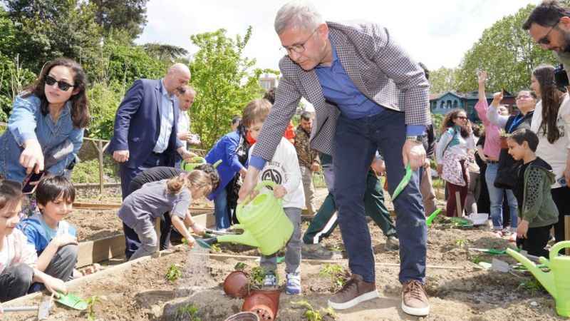 Ata tohumu yerli fideler Üsküdar'da toprakla buluştu