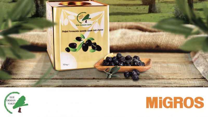 Migros ve Ege Orman Vakfı iş birliği ile zeytinler fidana dönüyor 