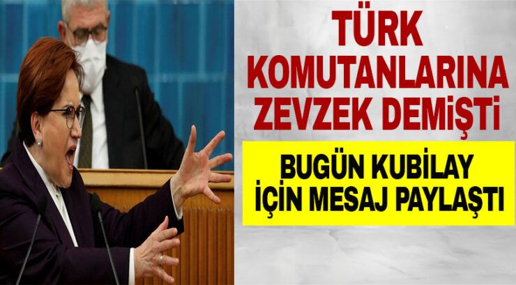 Meral Akşener Zevzek Demişti
