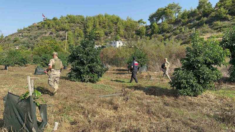 Antalya’da tropikal meyve bahçeleri komandolara emanet Antalya’da tropikal meyve bahçeleri komandolara emanet