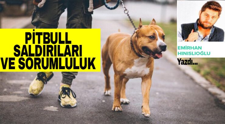 Emirhan Hınıslıoğlu Yazdı…