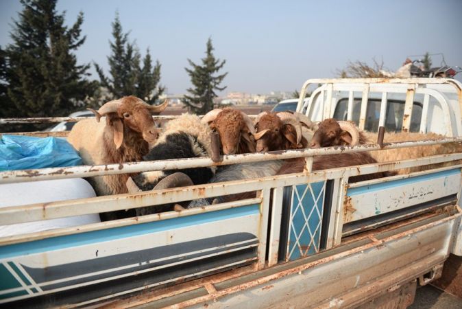 Son dakika… Havadan görüntülendi: Yüz binlerce Suriyeli sınıra akın etti