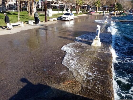 Lodos Teknelere Zor Anlar Yaşattı