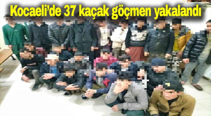 Kocaeli’de 37 kaçak göçmen yakalandı