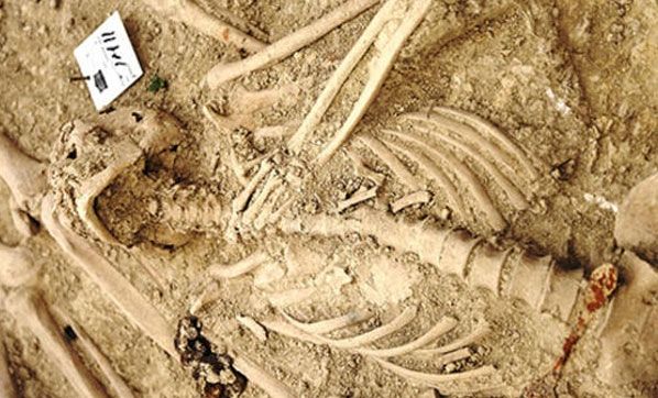 Kazdıkça acı gerçek ortaya çıktı!