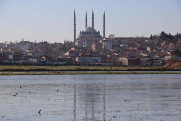 Soğuktan Tarlalar Buz Tuttu