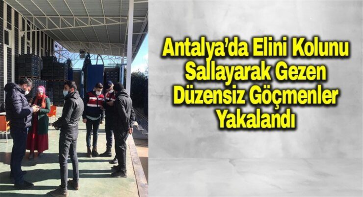 Antalya’da düzensiz göçmen