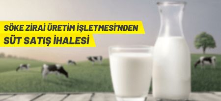 Söke Zirai Üretim İşletmesi 160 bin litre inek sütü satacak