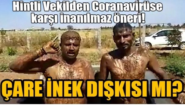 VİRÜSE KARŞI İNEK İDRARINI VE DIŞKISI ÖNERDİ