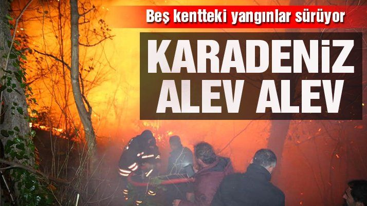 Karadeniz alev alev! Beş kentte yangınlar sürüyor