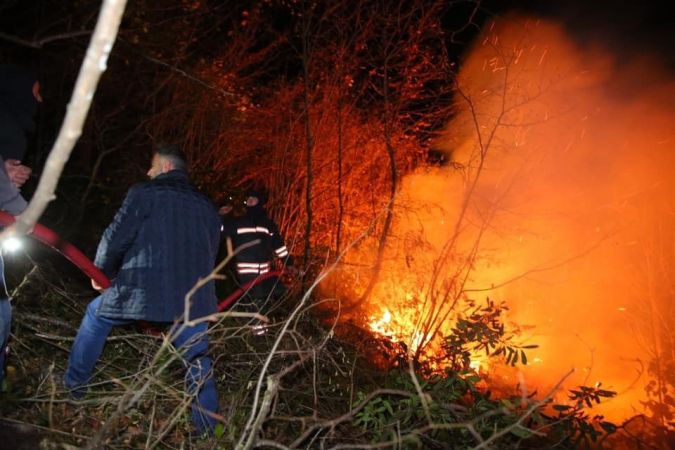Karadeniz alev alev! Beş kentte yangınlar sürüyor