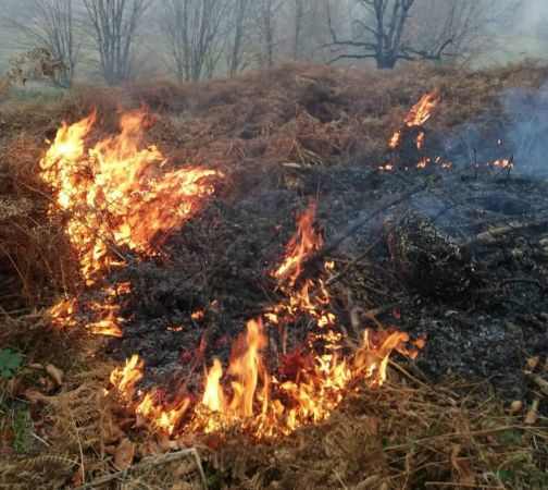 Karadeniz alev alev! Beş kentte yangınlar sürüyor