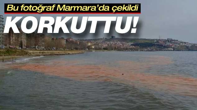 Denizin rengi değişti, korkuttu! Açıklama geldi