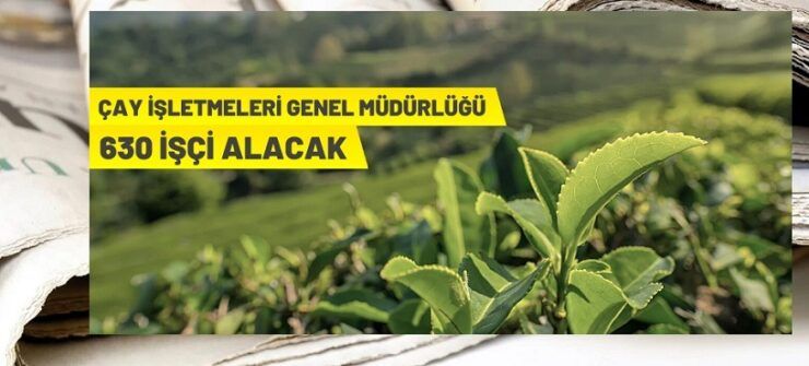 ÇAYKUR 630 Geçici İşçi istihdam edecek