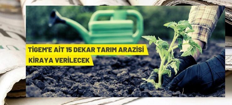 Sebze tohumculuğu üretim tesisi 5 yıllığına kiraya verilecektir