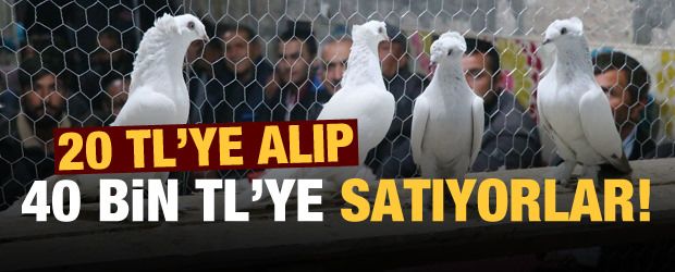 20 TL’ye alıp 40 bin TL’ye satıyorlar!