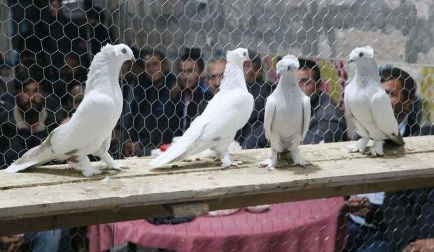 20 TL’ye alıp 40 bin TL’ye satıyorlar!