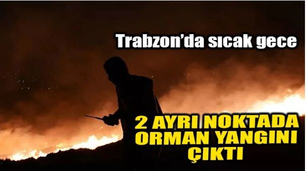TRABZON’DA ORMAN YANGINI