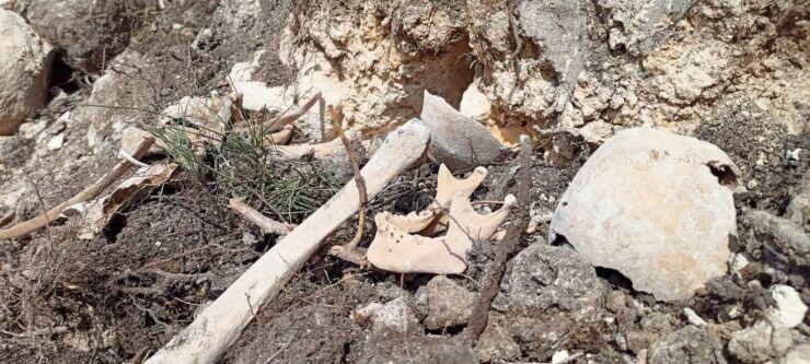 Azerbaycan’ın Ferruh köyünde yeni insan iskeletleri bulundu