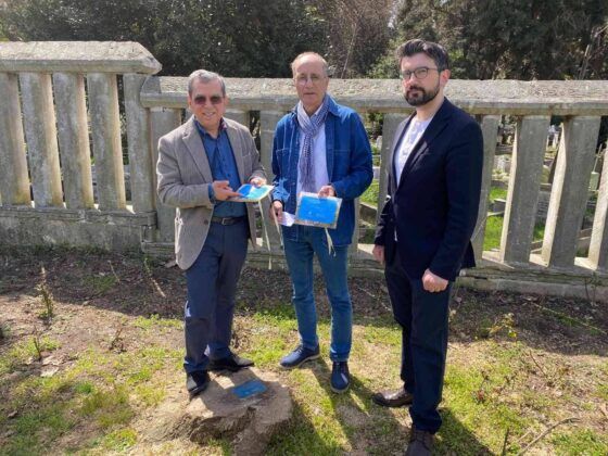 İBB’nin kestiği çınar ağaçlarına İstanbul Çevre Konseyi’nden tepki geldi