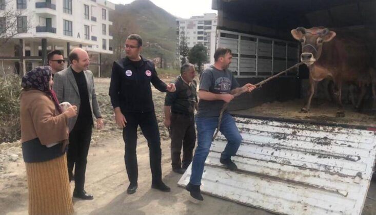 Halk gününde inek istedi, vali kapısına gönderdi