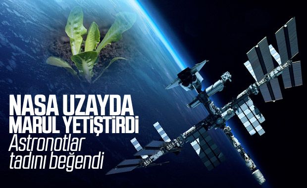 NASA: Uzay istasyonunda yetiştirilen marullar besleyici ve güvenli