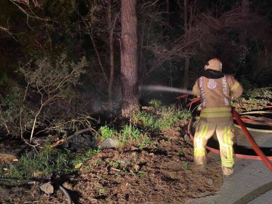 Maltepe’de korkutan orman yangını