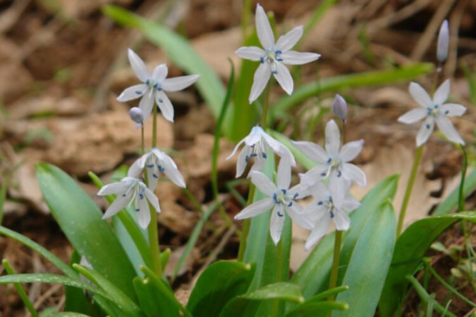 Türk Bilim İnsanı Keşfetti