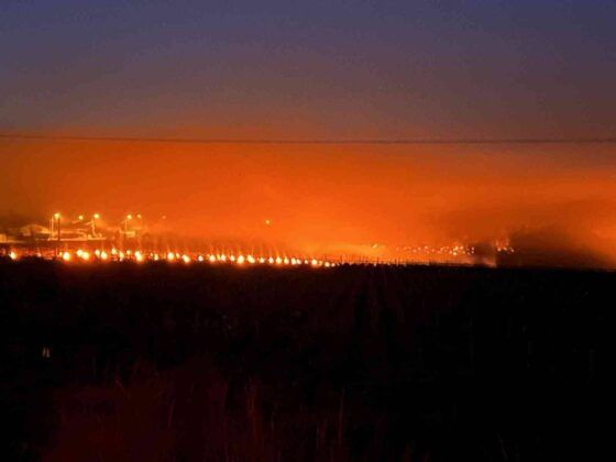 Fransa’da üzüm bağlarını korumak için kandil yakıldı