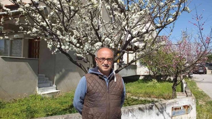 Balıkesir’de meyve ağaçları rengarenk çiçek açtı
