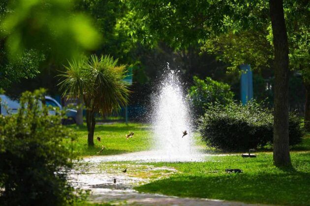 Bayraklı’nın yeşil alan oranı artıyor